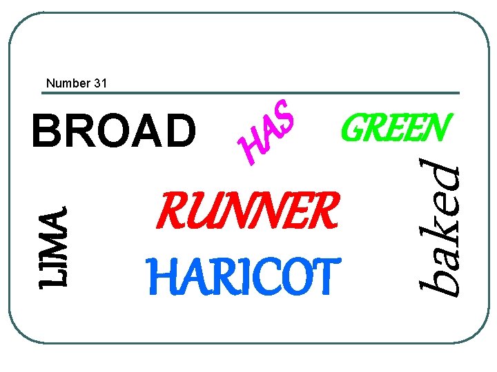 Number 31 H RUNNER HARICOT baked LIMA BROAD S GREEN A 