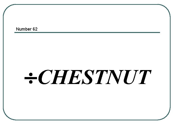 Number 62 ¸CHESTNUT 