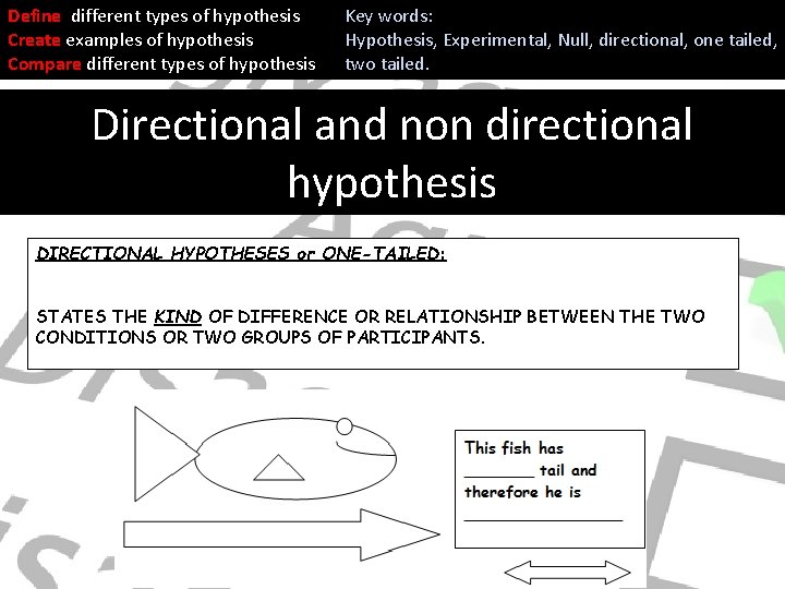 Define different types of hypothesis Create examples of hypothesis Compare different types of hypothesis