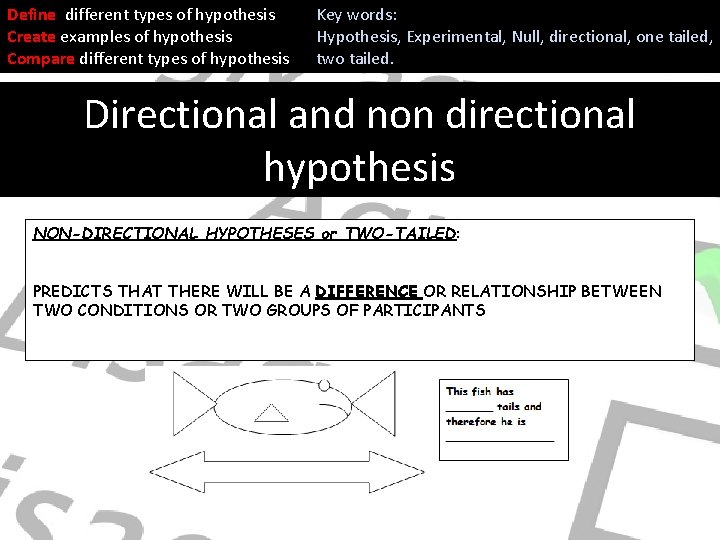 Define different types of hypothesis Create examples of hypothesis Compare different types of hypothesis