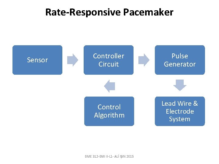 Rate-Responsive Pacemaker Sensor Controller Circuit Pulse Generator Control Algorithm Lead Wire & Electrode System