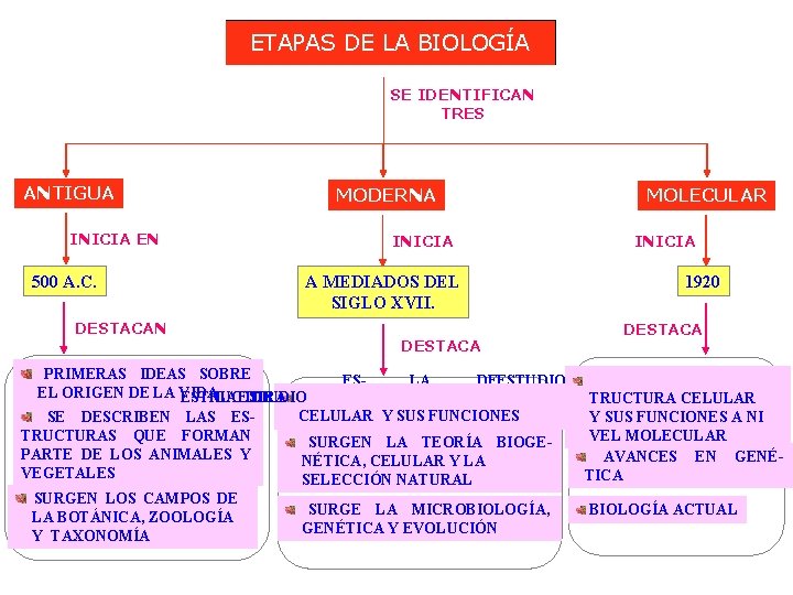 ETAPAS DE LA BIOLOGÍA SE IDENTIFICAN TRES ANTIGUA MODERNA INICIA EN 500 A. C.