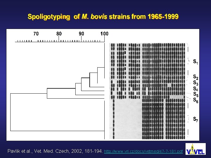 Pavlik et al. , Vet. Med. Czech, 2002, 181 -194. http: //www. vri. cz/docs/vetmed/47