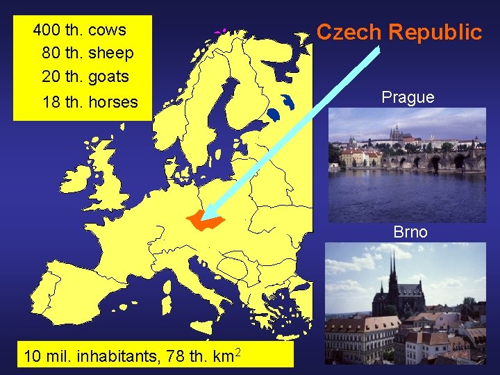 400 th. cows 80 th. sheep 20 th. goats 18 th. horses Czech Republic