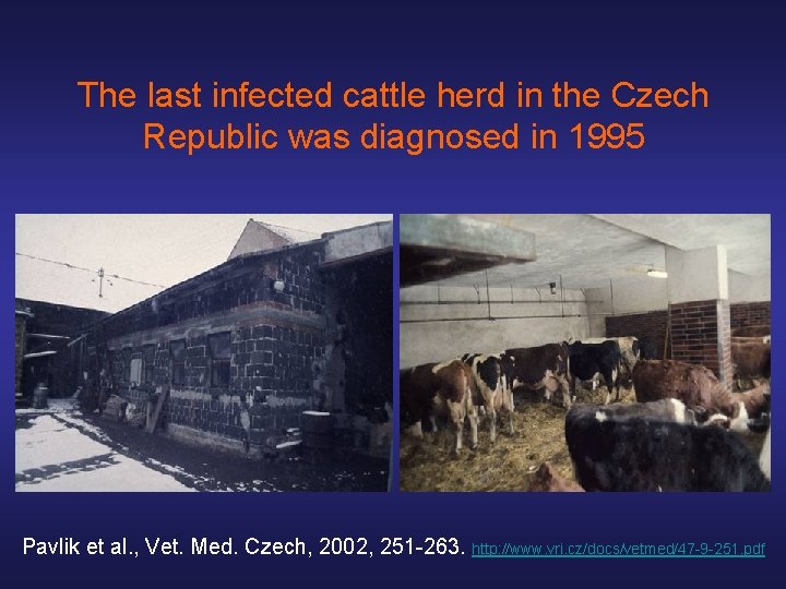 The last infected cattle herd in the Czech Republic was diagnosed in 1995 Pavlik