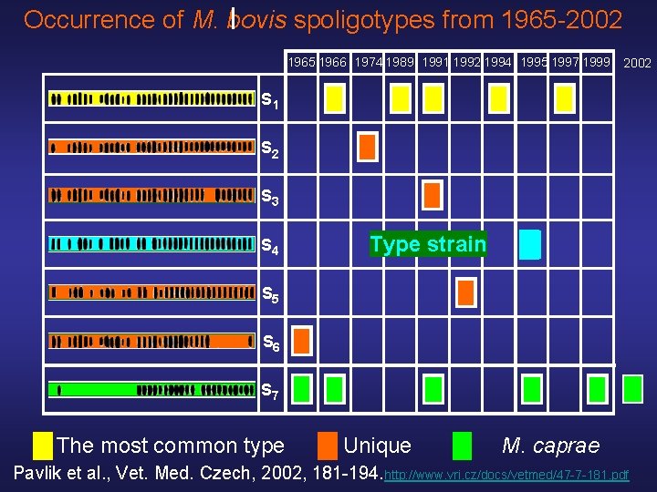 Occurrence of M. bovis spoligotypes from 1965 -2002 1965 1966 1974 1989 1991 1992