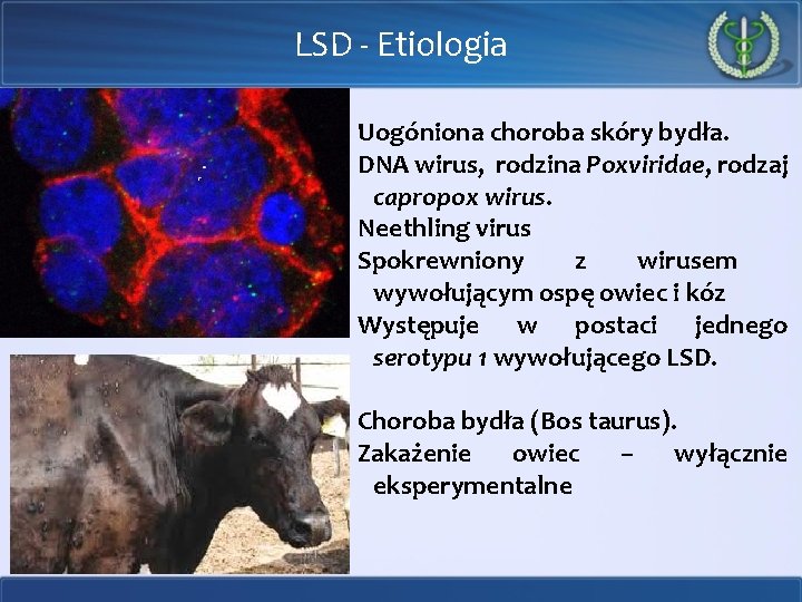 LSD - Etiologia Uogóniona choroba skóry bydła. DNA wirus, rodzina Poxviridae, rodzaj capropox wirus.