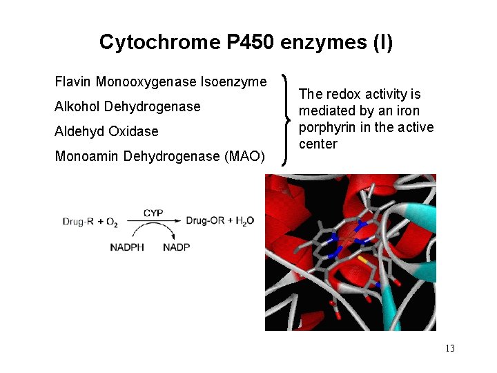 Cytochrome P 450 enzymes (I) Flavin Monooxygenase Isoenzyme Alkohol Dehydrogenase Aldehyd Oxidase Monoamin Dehydrogenase