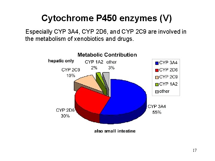 Cytochrome P 450 enzymes (V) Especially CYP 3 A 4, CYP 2 D 6,