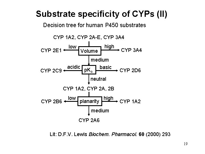 Substrate specificity of CYPs (II) Decision tree for human P 450 substrates CYP 1