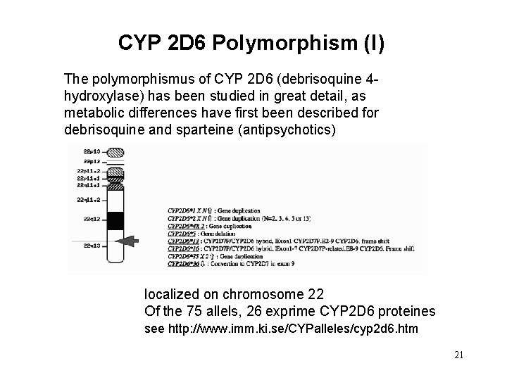 CYP 2 D 6 Polymorphism (I) The polymorphismus of CYP 2 D 6 (debrisoquine