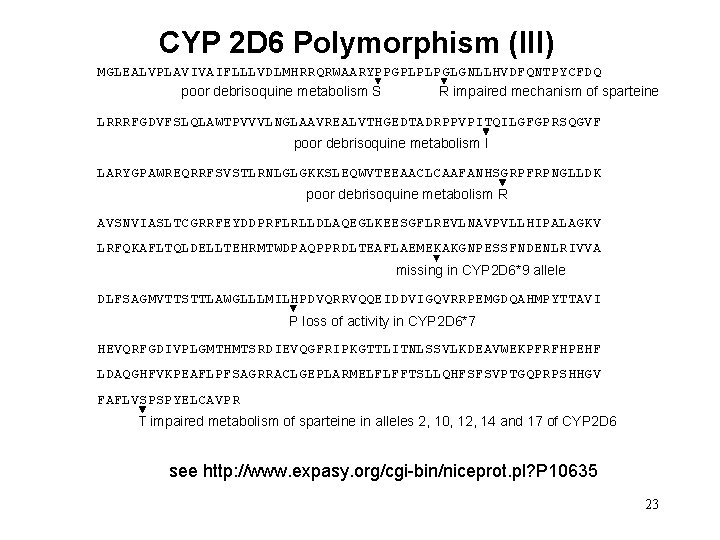 CYP 2 D 6 Polymorphism (III) MGLEALVPLAVIVAIFLLLVDLMHRRQRWAARYPPGPLPLPGLGNLLHVDFQNTPYCFDQ poor debrisoquine metabolism S R impaired mechanism