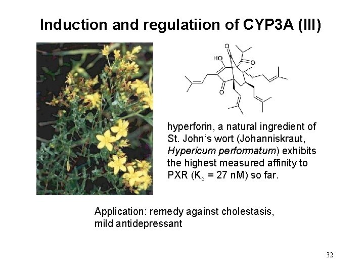 Induction and regulatiion of CYP 3 A (III) hyperforin, a natural ingredient of St.