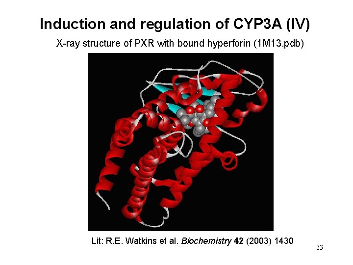 Induction and regulation of CYP 3 A (IV) X-ray structure of PXR with bound