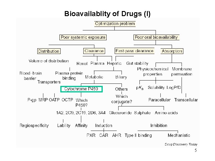 Bioavailablity of Drugs (I) 5 
