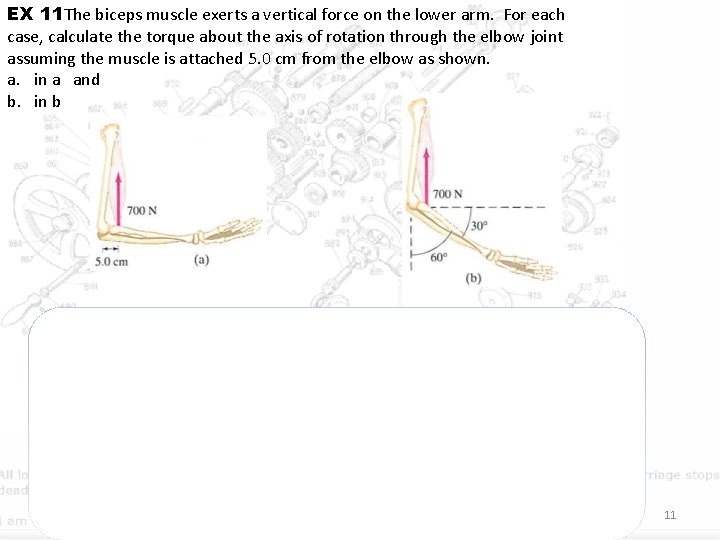 EX 11 The biceps muscle exerts a vertical force on the lower arm. For