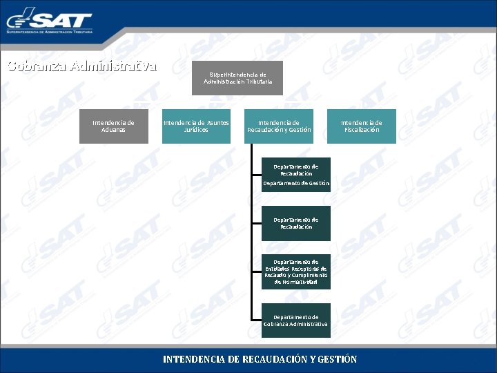 Cobranza Administrativa Intendencia de Aduanas Superintendencia de Administración Tributaria Intendencia de Asuntos Jurídicos Intendencia