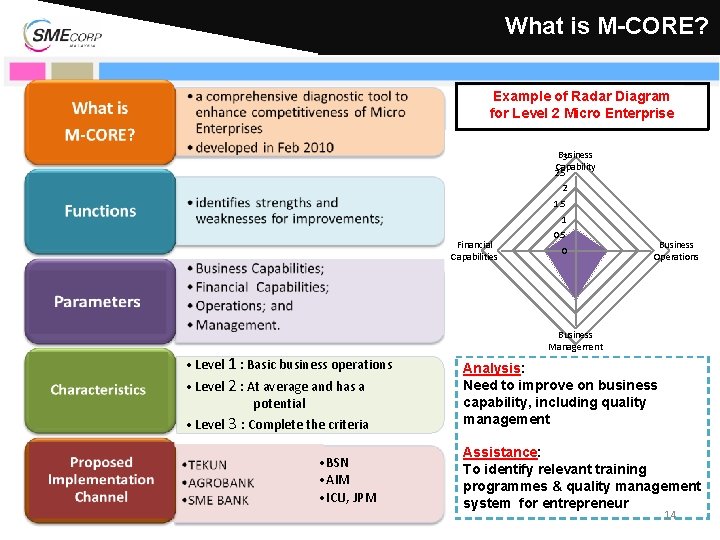 What is M-CORE? Example of Radar Diagram for Level 2 Micro Enterprise Business 3