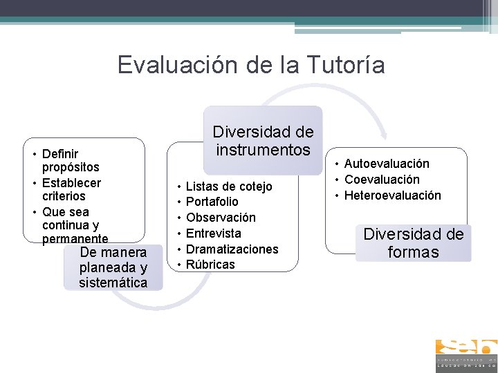 Evaluación de la Tutoría • Definir propósitos • Establecer criterios • Que sea continua