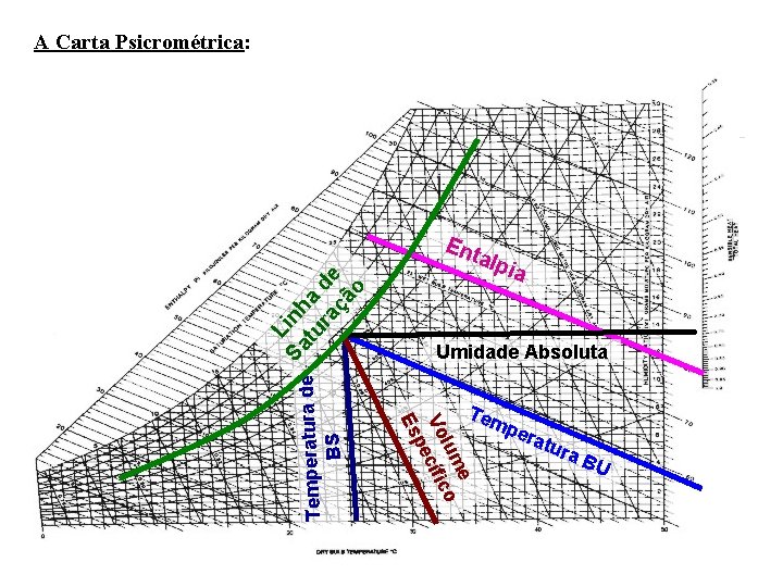 A Carta Psicrométrica: alp ia Umidade Absoluta Tem e lum o Vo cífic pe