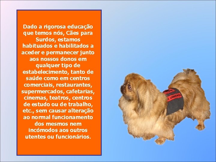 Dado a rigorosa educação que temos nós, Cães para Surdos, estamos habituados e habilitados