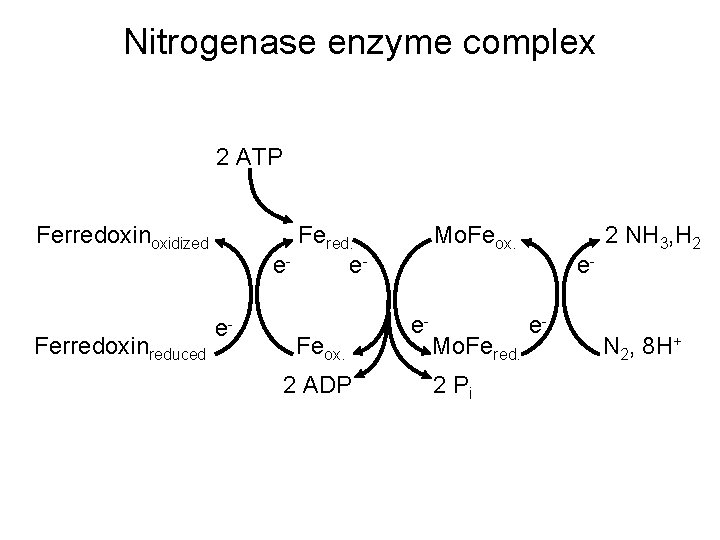Nitrogenase enzyme complex 2 ATP Ferredoxinoxidized Ferredoxinreduced Fered. eee- Feox. 2 ADP Mo. Feox.
