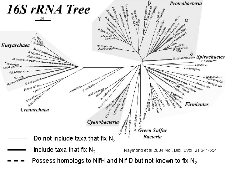 Do not include taxa that fix N 2 Include taxa that fix N 2