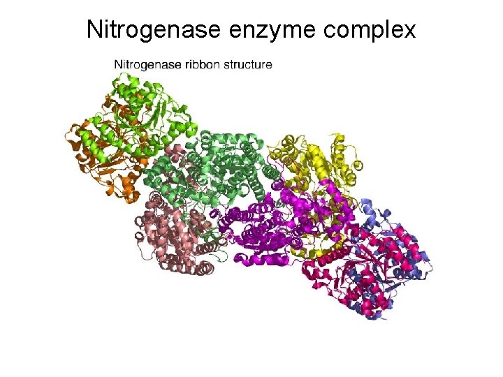 Nitrogenase enzyme complex 