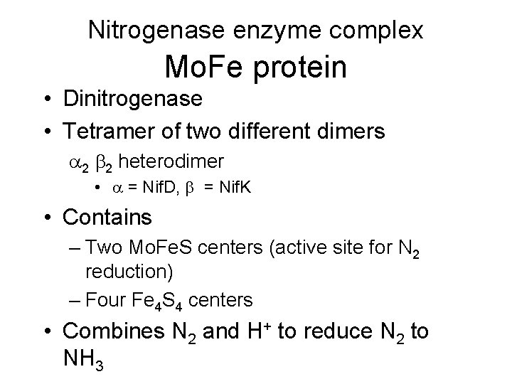 Nitrogenase enzyme complex Mo. Fe protein • Dinitrogenase • Tetramer of two different dimers