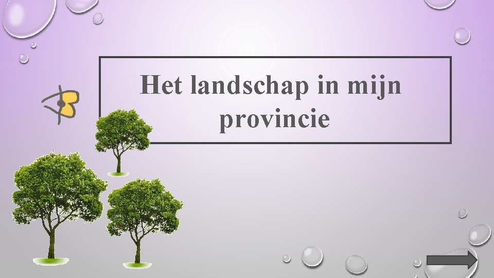 Het landschap in mijn provincie 