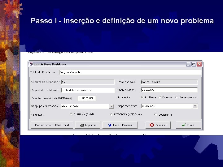 Passo I - Inserção e definição de um novo problema 