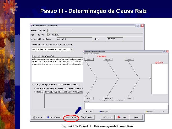 Passo III - Determinação da Causa Raiz 
