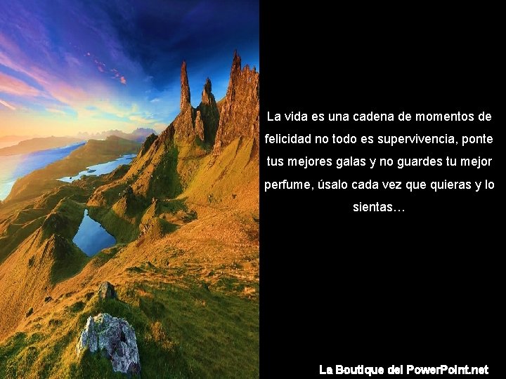 La vida es una cadena de momentos de felicidad no todo es supervivencia, ponte