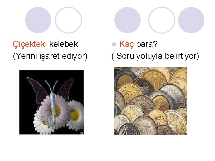 Çiçekteki kelebek (Yerini işaret ediyor) Kaç para? ( Soru yoluyla belirtiyor) l 