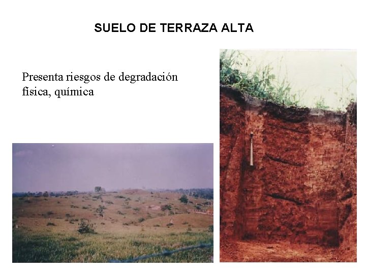 SUELO DE TERRAZA ALTA Presenta riesgos de degradación física, química 