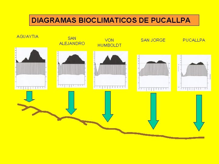 DIAGRAMAS BIOCLIMATICOS DE PUCALLPA AGUAYTIA SAN ALEJANDRO VON HUMBOLDT SAN JORGE PUCALLPA 