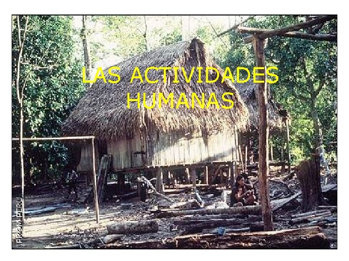 LAS ACTIVIDADES HUMANAS 