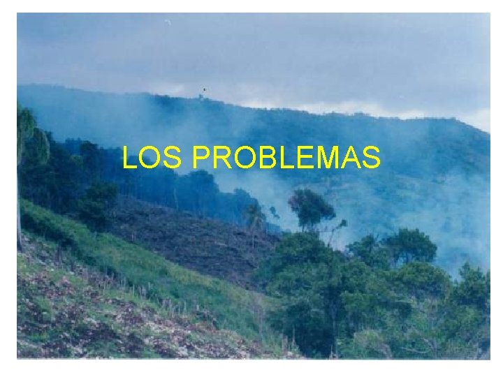 LOS PROBLEMAS 