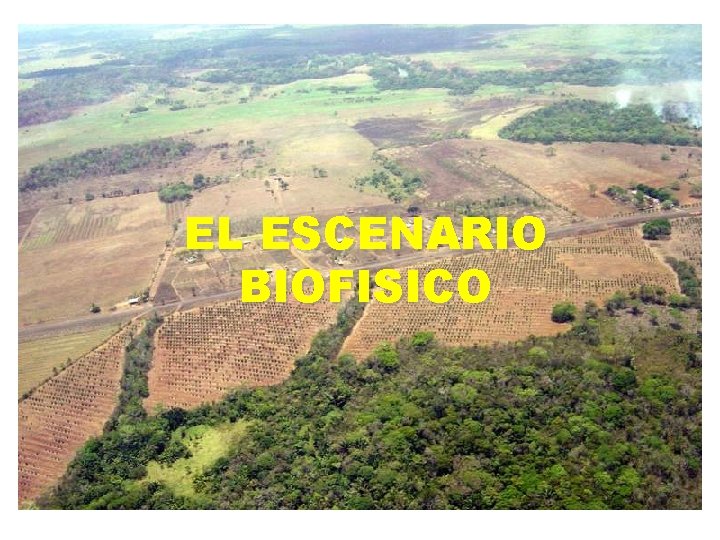 EL ESCENARIO BIOFISICO 