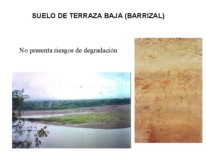 SUELO DE TERRAZA BAJA (BARRIZAL) No presenta riesgos de degradación 