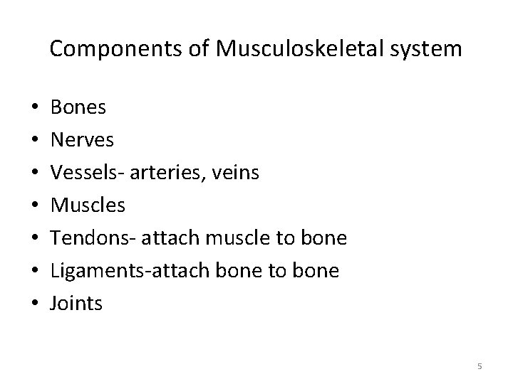 Components of Musculoskeletal system • • Bones Nerves Vessels‐ arteries, veins Muscles Tendons‐ attach