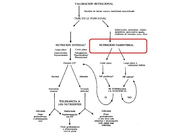 Cátedra de Medicina Crítica 