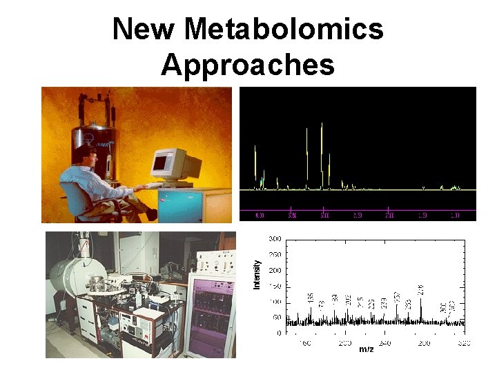 New Metabolomics Approaches 