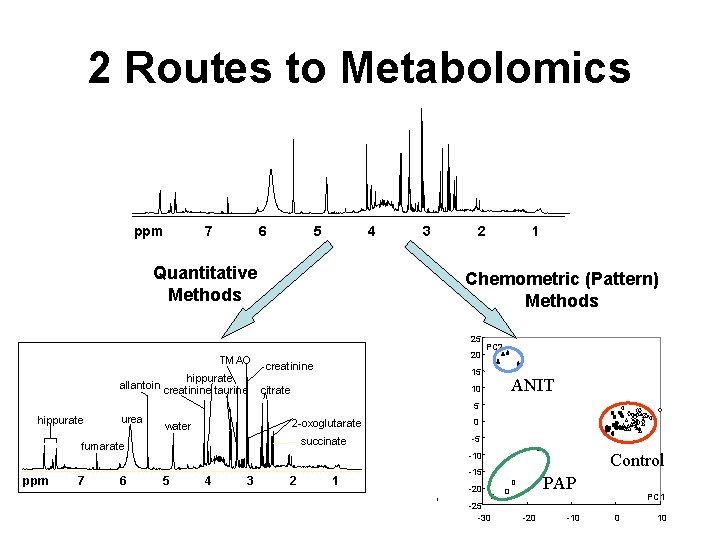 2 Routes to Metabolomics ppm 7 6 5 4 Quantitative Methods 3 2 Chemometric