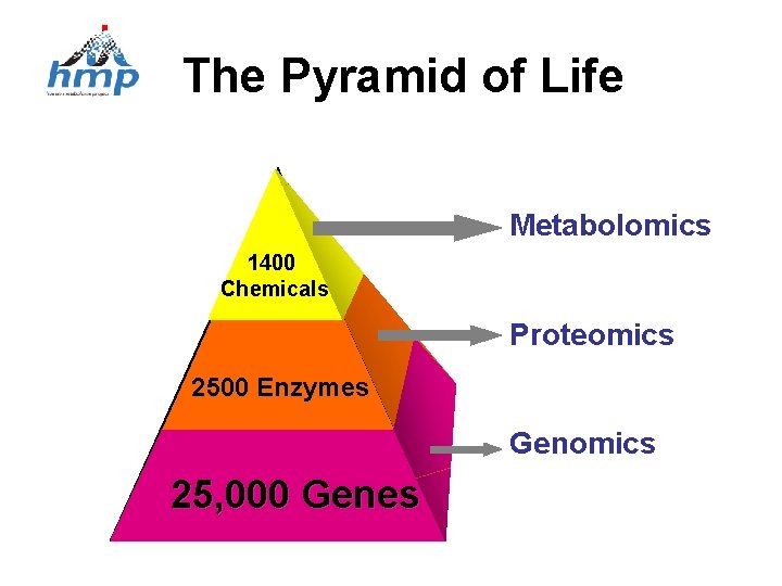 The Pyramid of Life Metabolomics 1400 Chemicals Proteomics 2500 Enzymes Genomics 25, 000 Genes