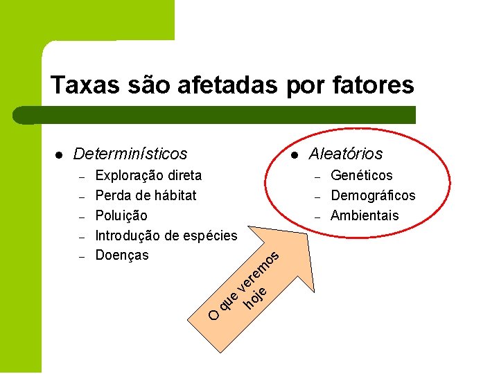 Taxas são afetadas por fatores Determinísticos – – os – Aleatórios – e ho