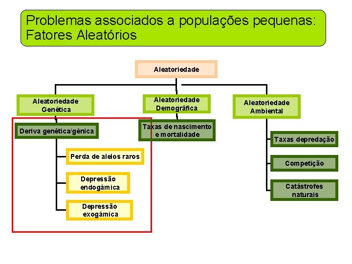 Problemas associados a populações pequenas: Fatores Aleatórios Aleatoriedade Genética Aleatoriedade Demográfica Deriva genética/gênica Taxas