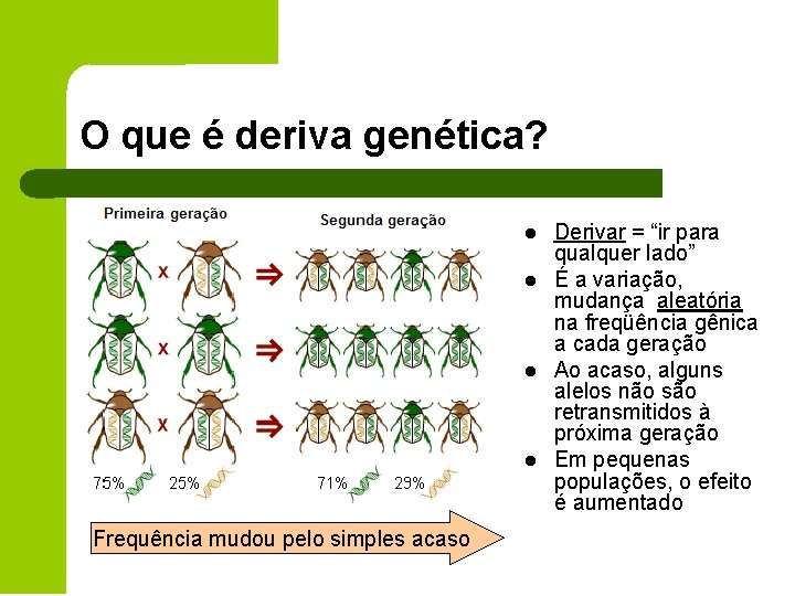 O que é deriva genética? l l Frequência mudou pelo simples acaso Derivar =