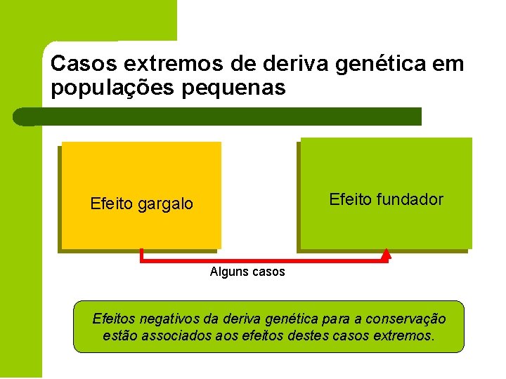 Casos extremos de deriva genética em populações pequenas Efeito fundador Efeito gargalo Alguns casos