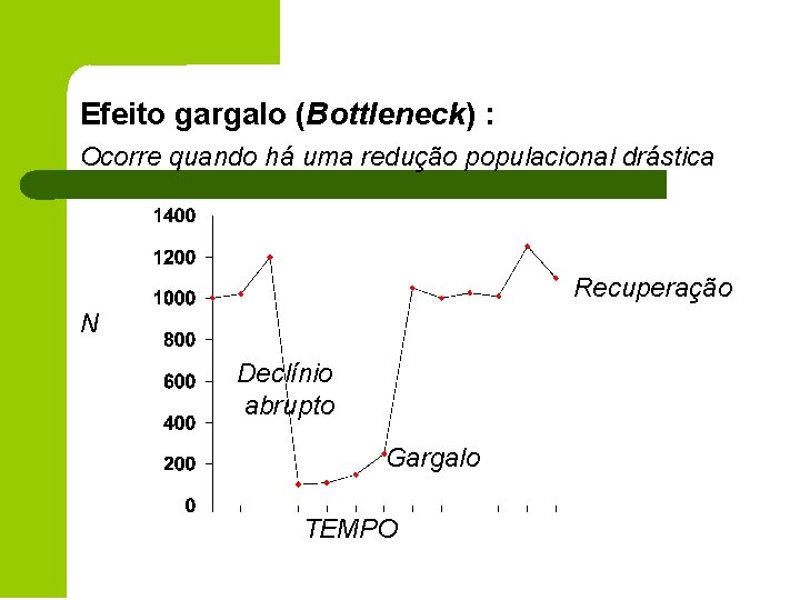 Efeito gargalo (Bottleneck) : Ocorre quando há uma redução populacional drástica Recuperação N Declínio